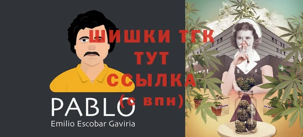 крисы Армянск