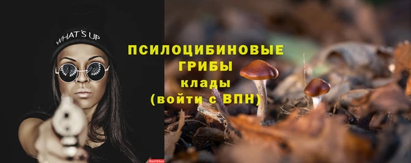 крисы Армянск