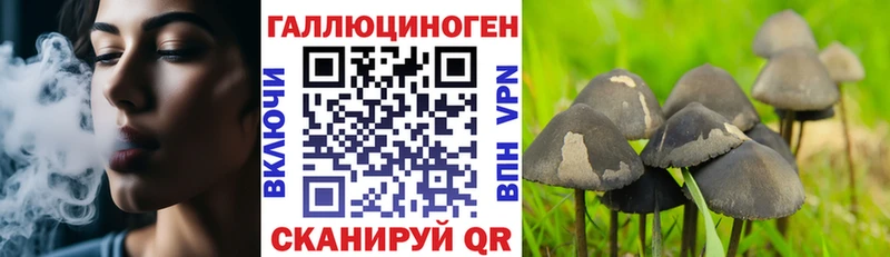 Галлюциногенные грибы Psilocybine cubensis  Покровск 